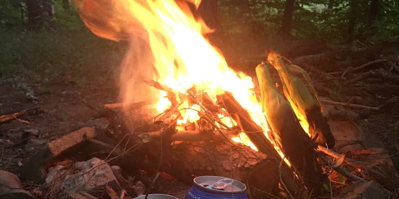 Camper submitted image from North Harmony State Forest