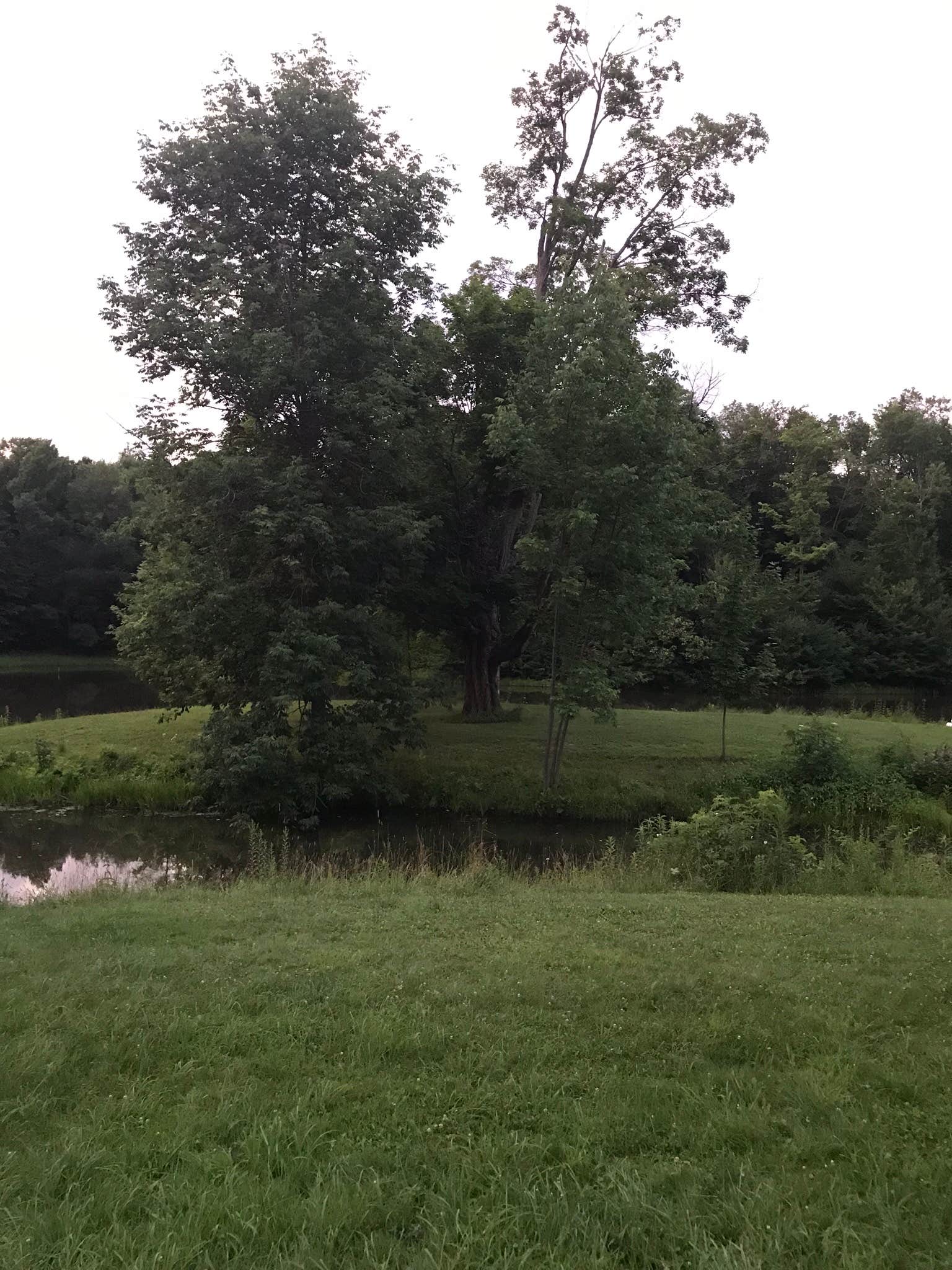 Beaver Meadow Family Campground Java Center, NY