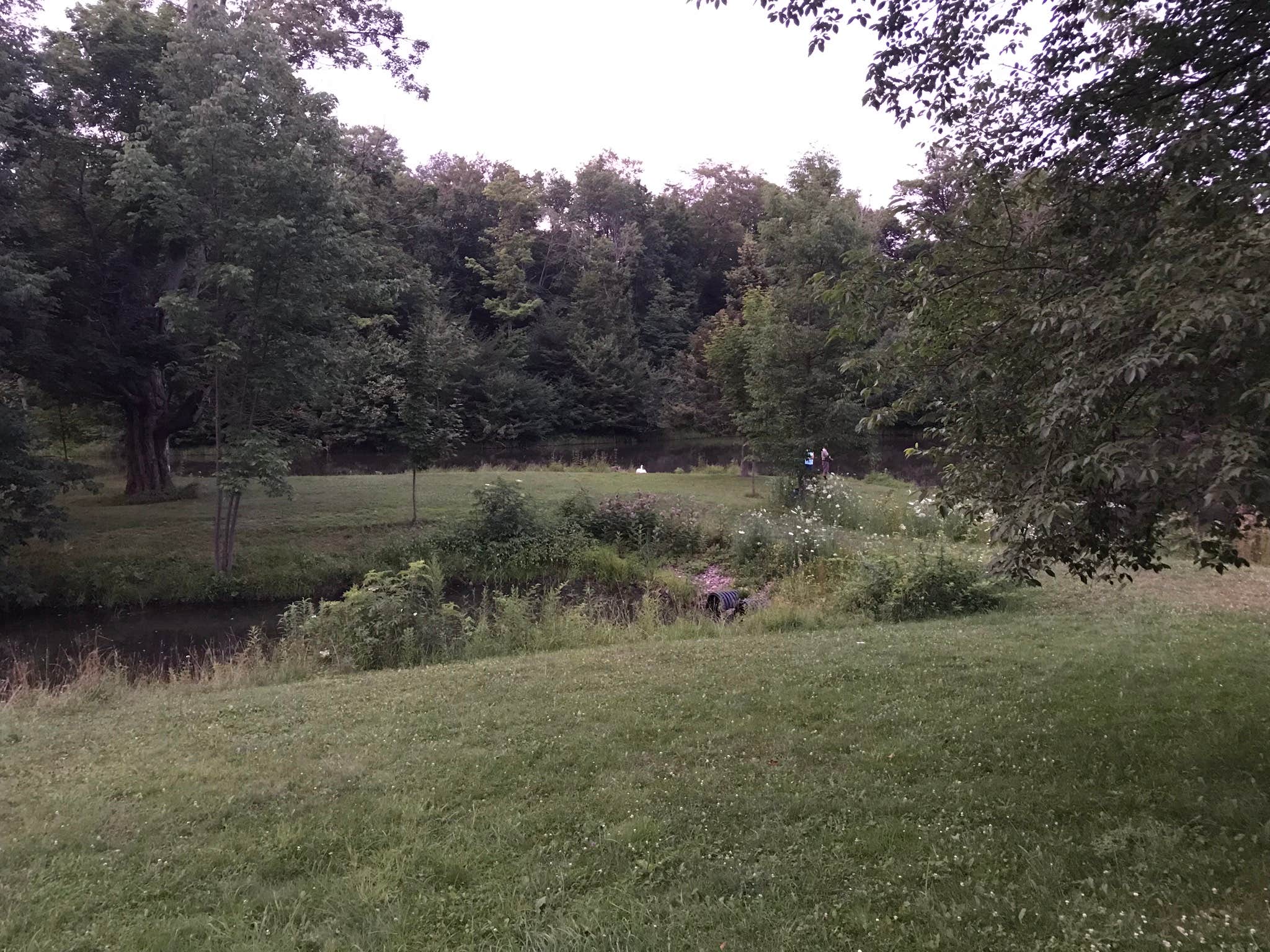 Camper submitted image from Beaver Meadow Family Campground - 4