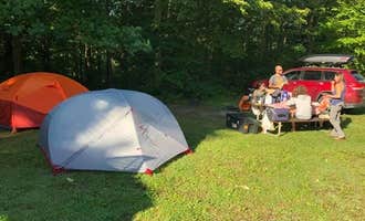 Camping near Chestnut Creek Campground: Rays Campground, Hico, West Virginia