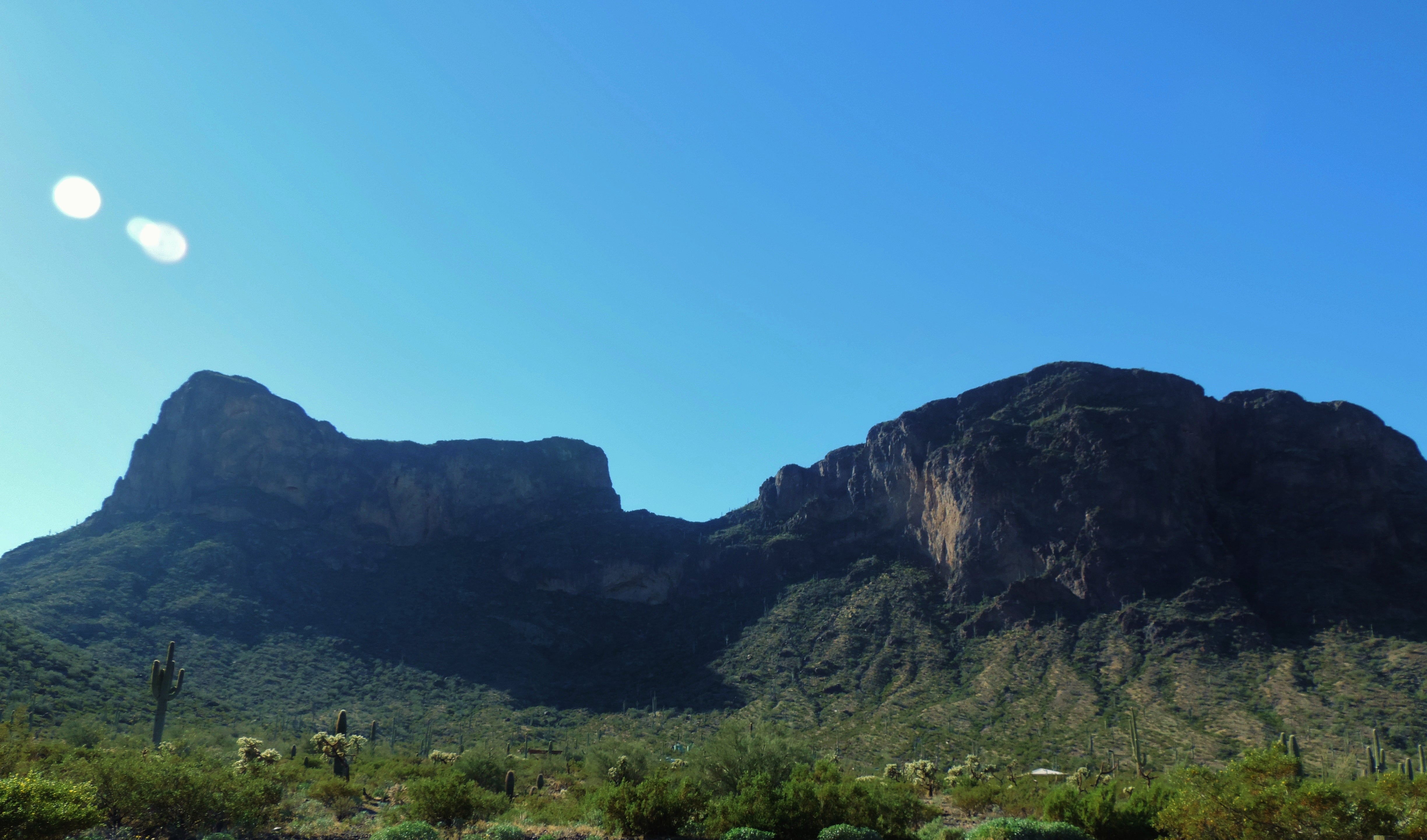 Camper submitted image from Picacho Peak State Park Campground - 2