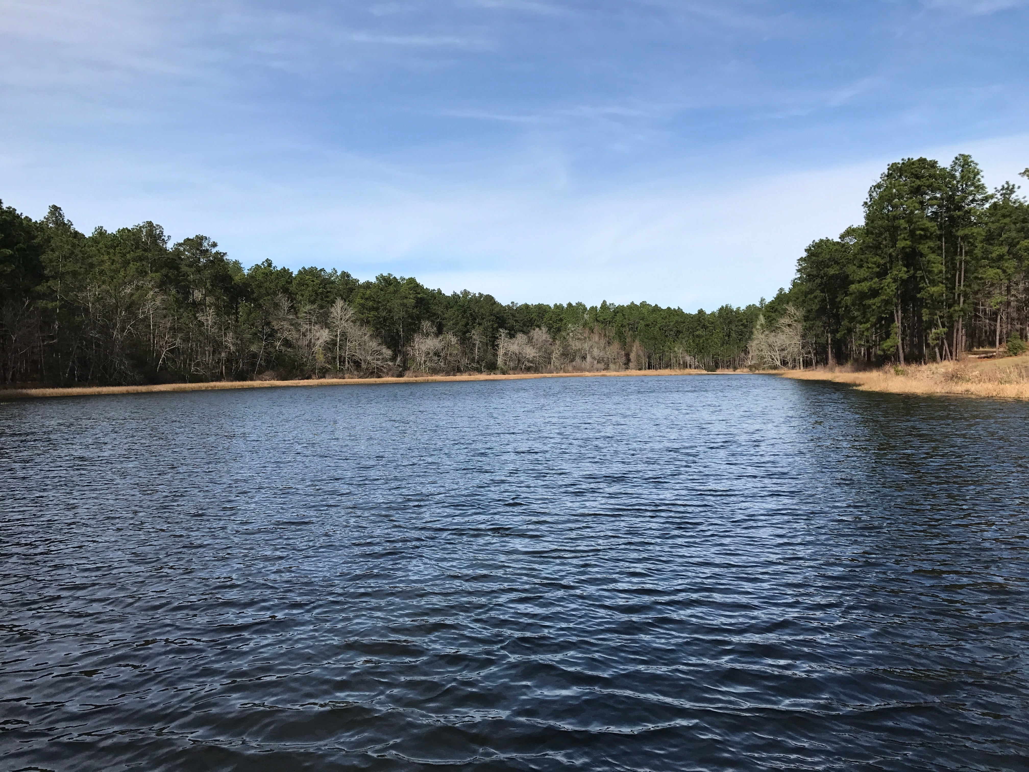 Camper submitted image from Boykin Springs NF Campground - 1