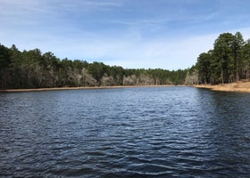Boykin Springs NF Campground
