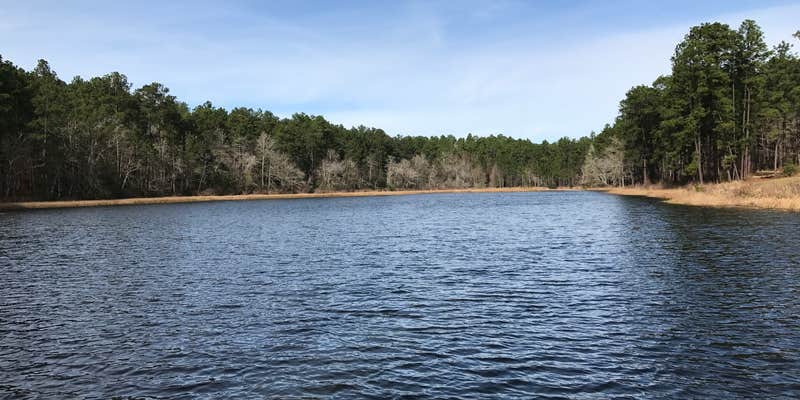 Camper submitted image from Boykin Springs NF Campground