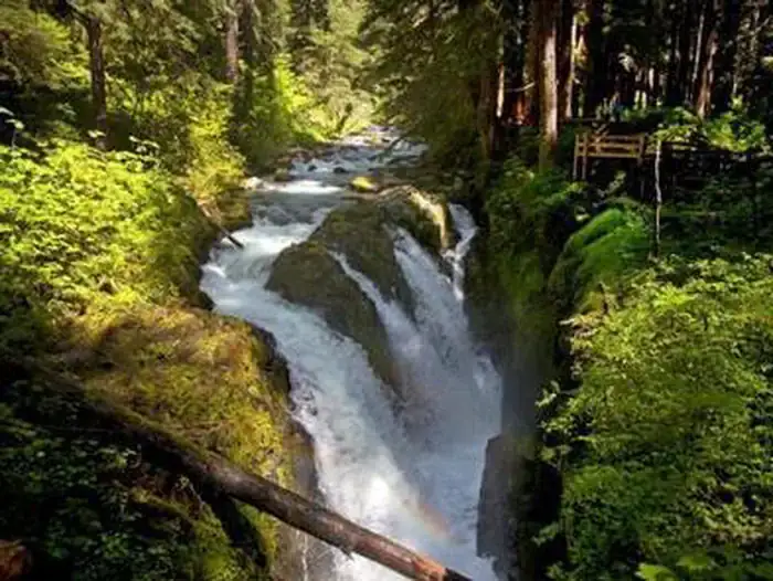 Camper-submitted photo at Sol Duc Hot Springs Resort Campground — Olympic National Park in Washington