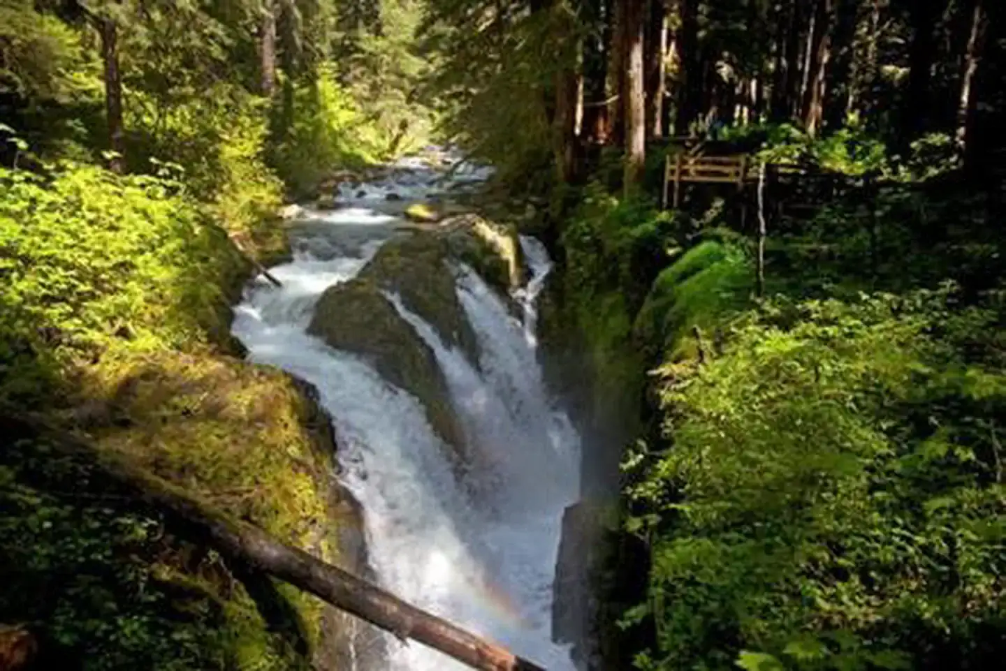 Camper-submitted photo at Sol Duc Hot Springs Resort Campground — Olympic National Park in Washington