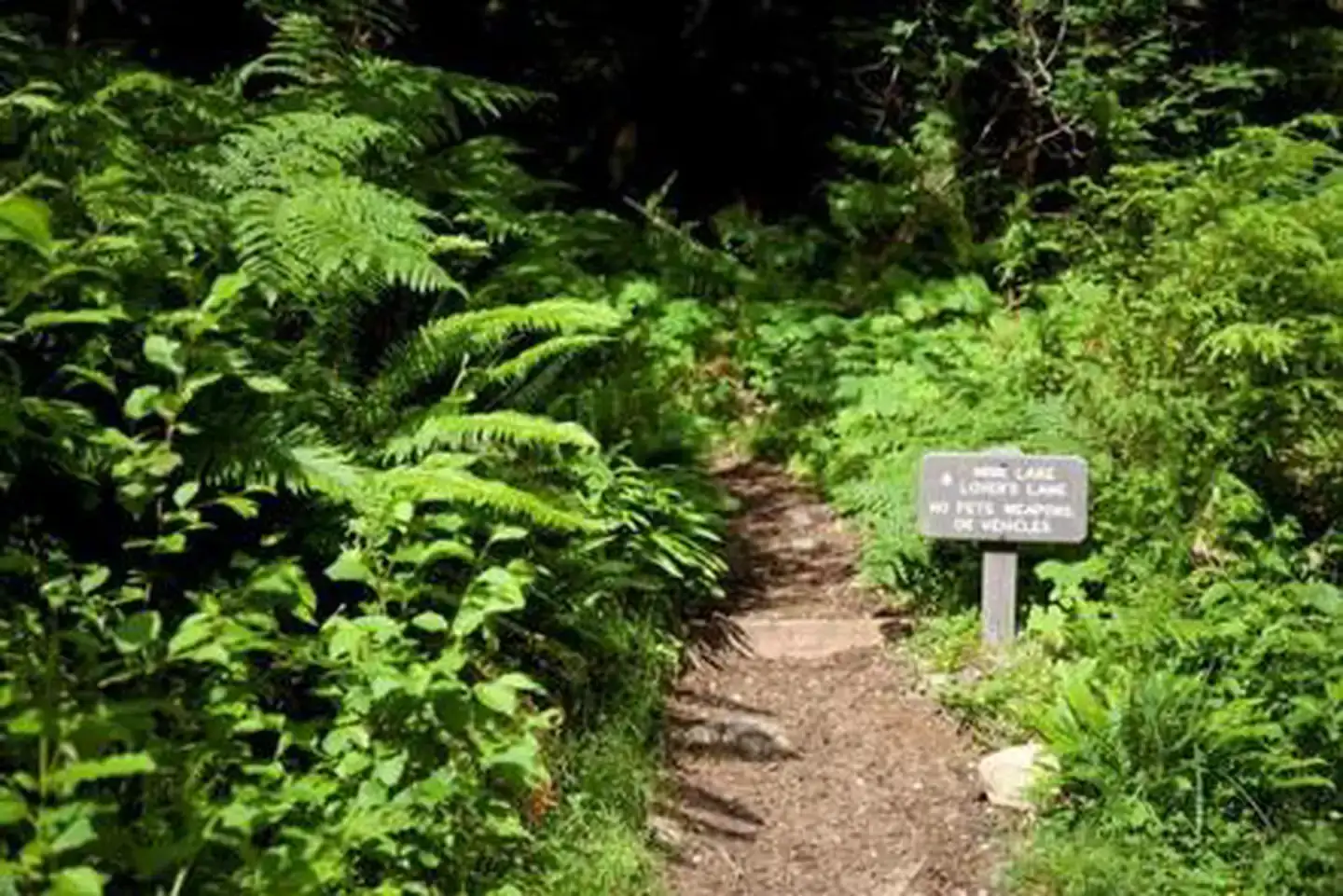 Sol Duc Hot Springs Resort Campground — Olympic National Park
