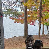 Review photo of Mile Creek County Park by Chris F., November 10, 2025