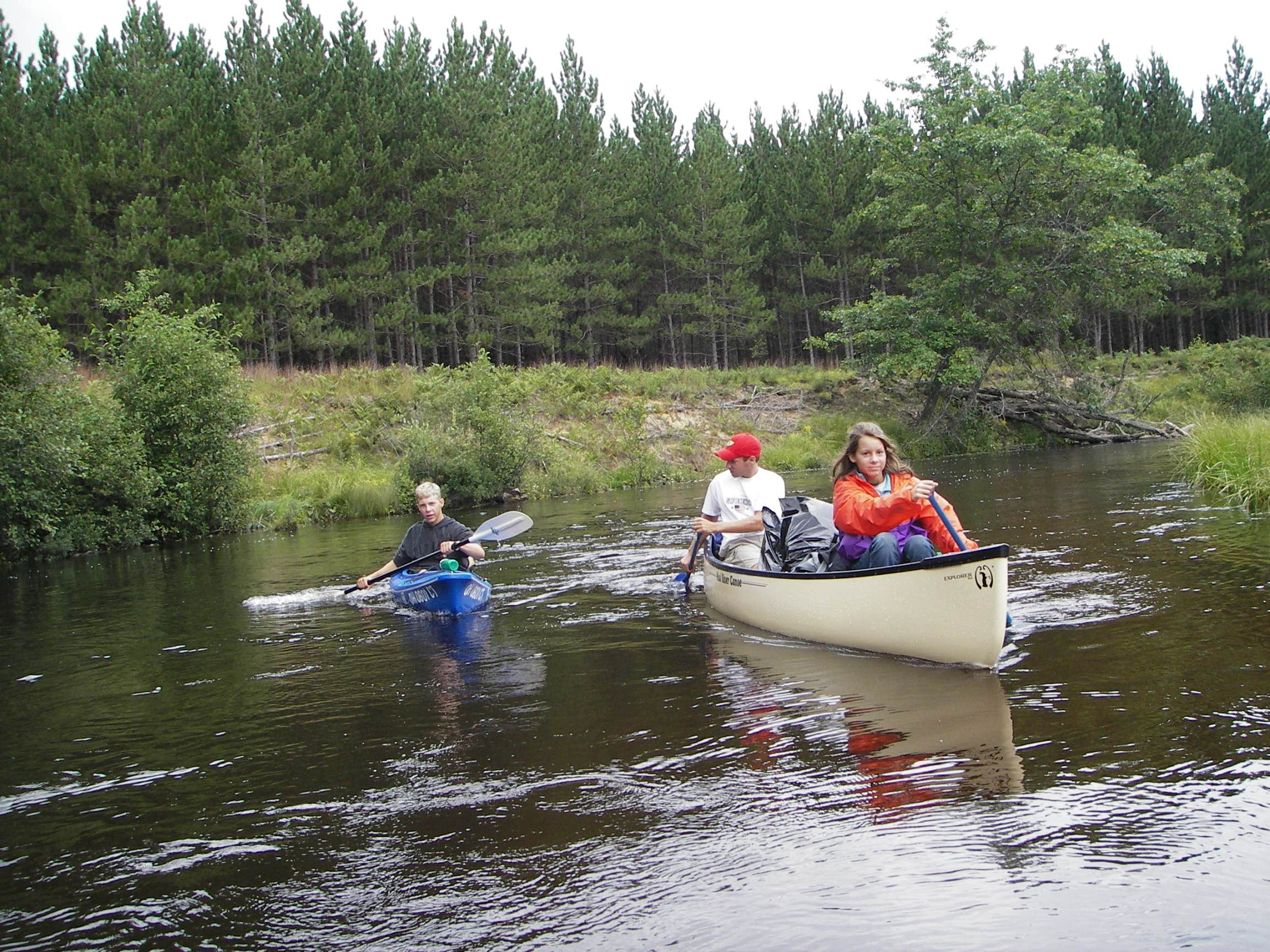 Camper submitted image from Upper Manistee River - 3
