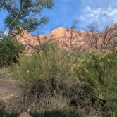 Review photo of Watchman Campground — Zion National Park by April H., November 10, 2025