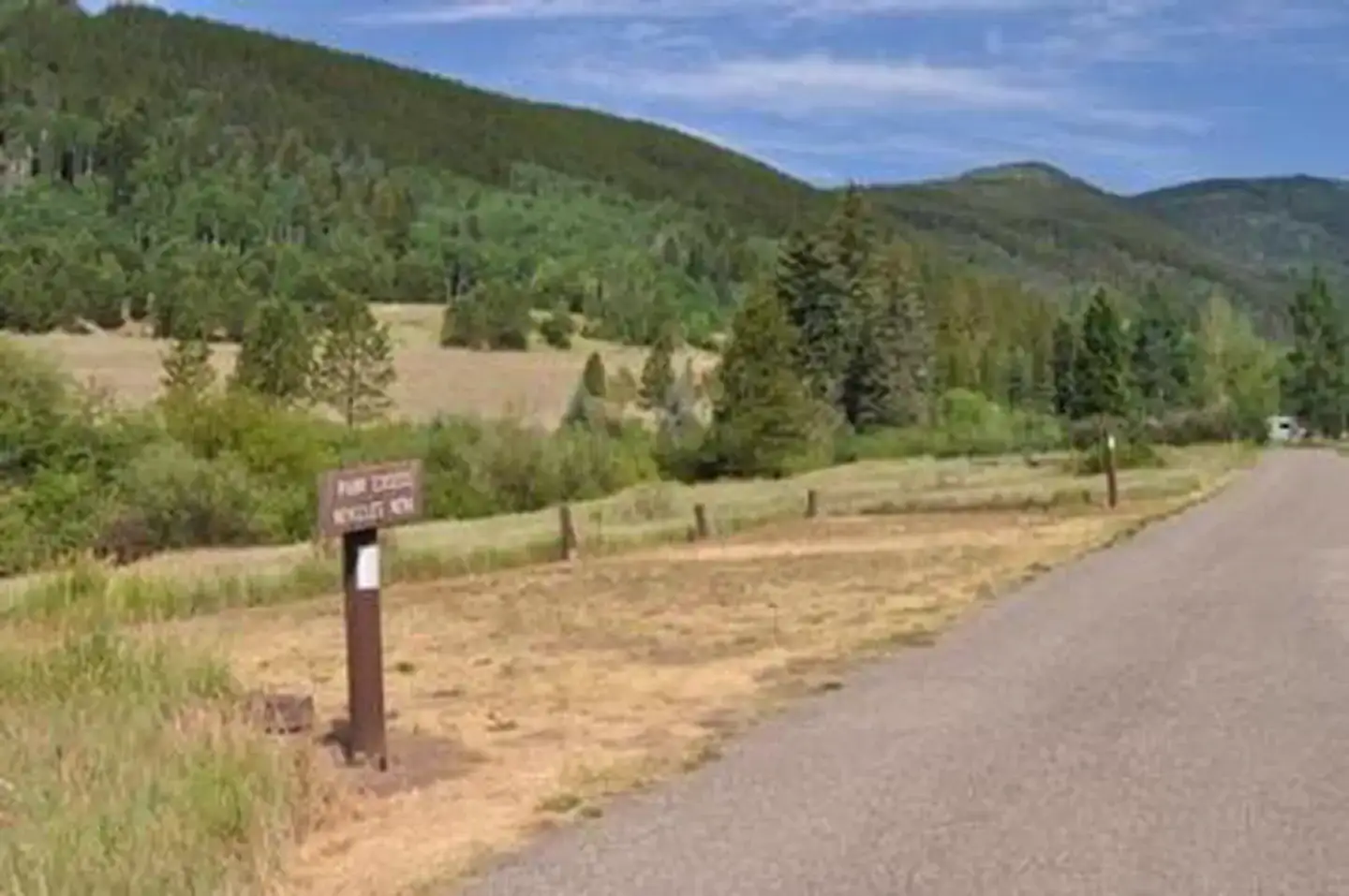 Camper-submitted photo at Mollie B_white River near White River National Forest