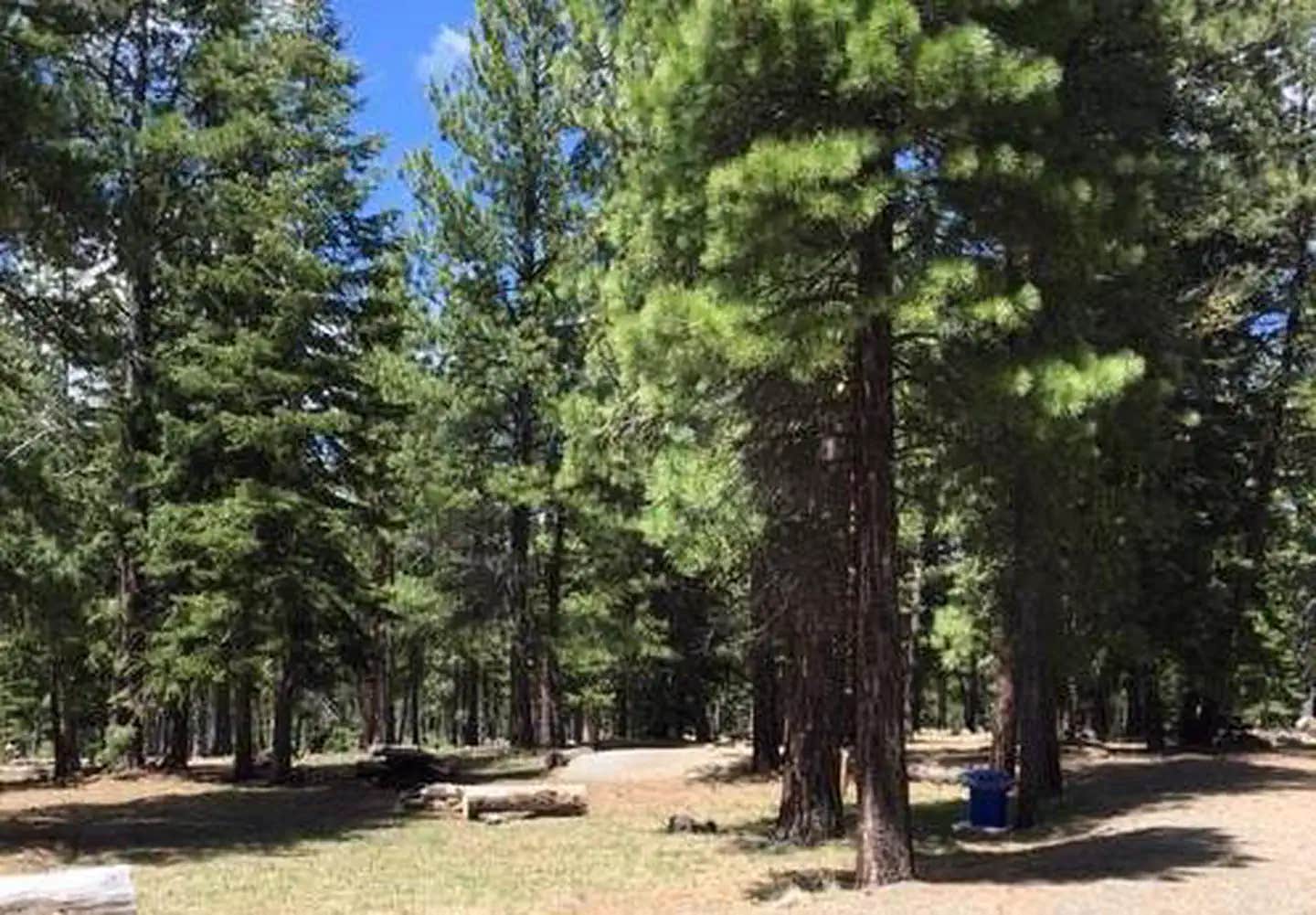 Camper submitted image from Blue Lake Campground Group Site Modoc Nf (Ca) — Modoc National Forest - 1