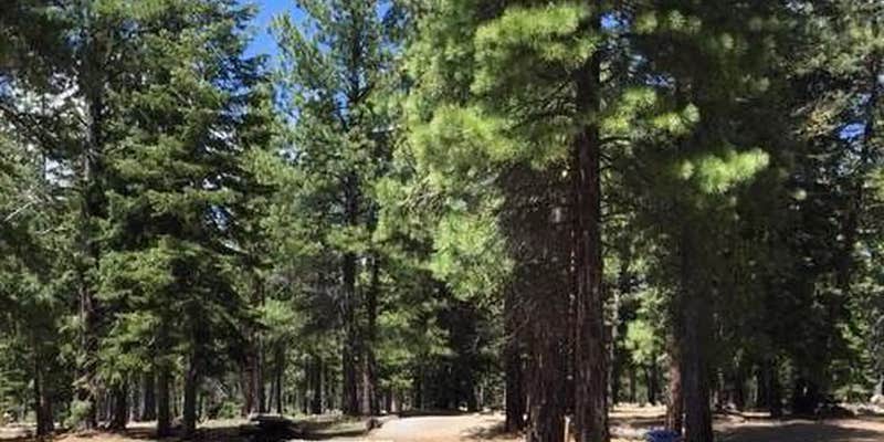 Camper submitted image from Blue Lake Campground Group Site Modoc Nf (Ca) — Modoc National Forest