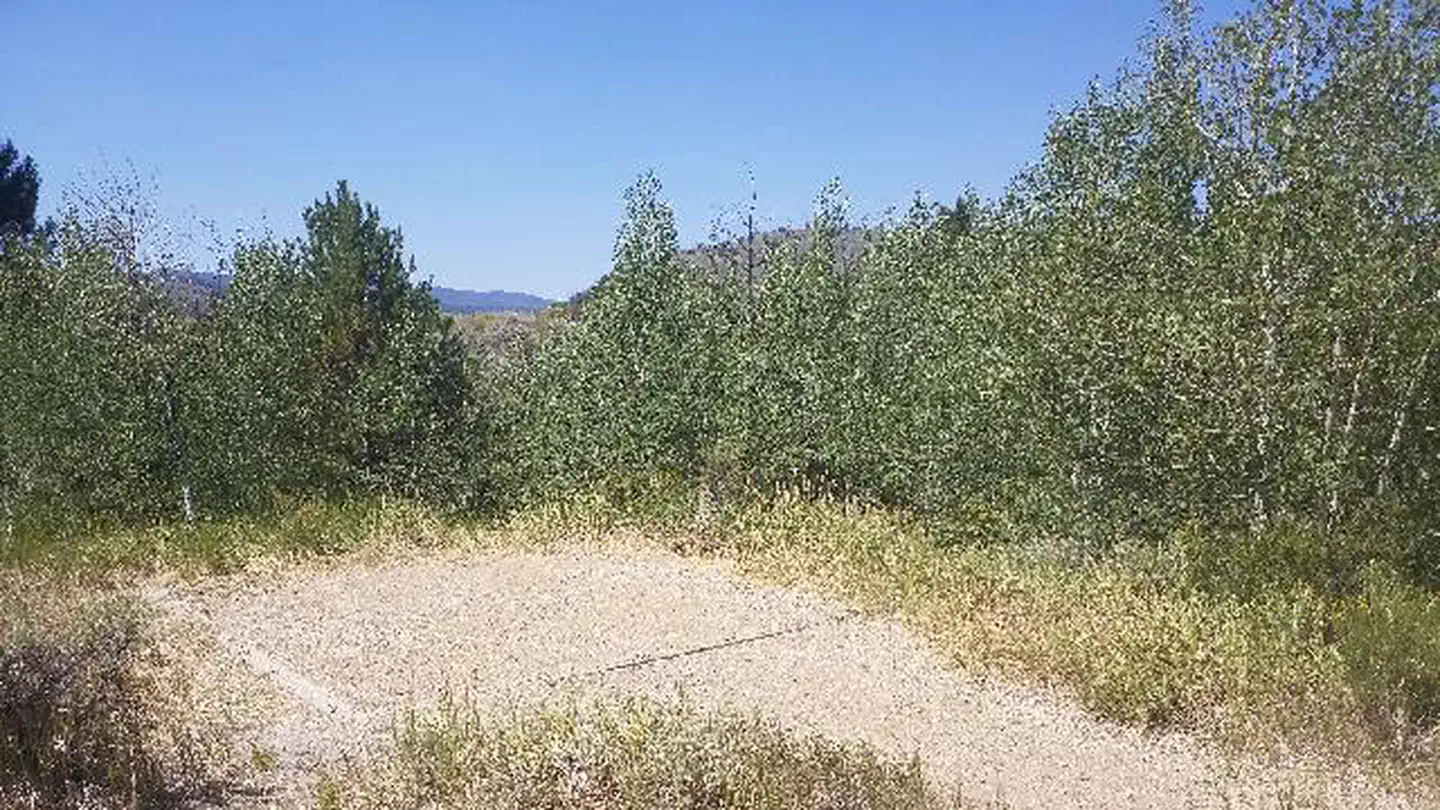 Camping near Wheatley Creek Trailhead: Willow Creek Group TEMPORARILY CLOSED, Granby, Colorado