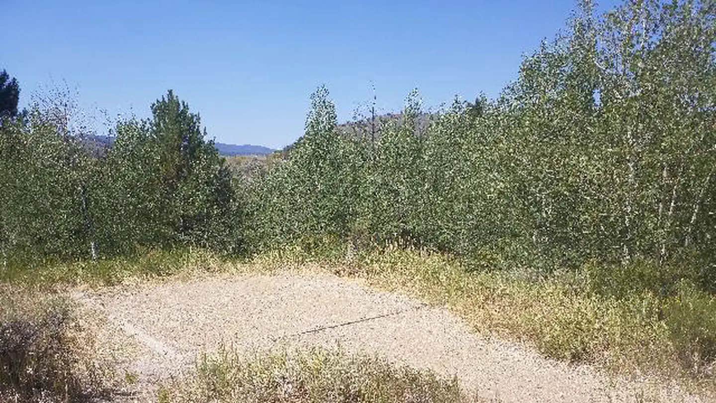 Camper submitted image from Willow Creek Group TEMPORARILY CLOSED - 1