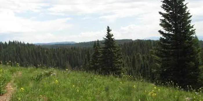 Camper submitted image from Island Lake Campground