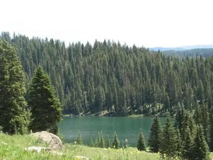 Camper-submitted photo at Island Lake Campground near Cedaredge, CO