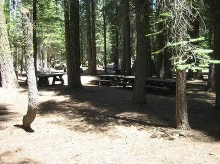 Camper-submitted photo at Coyote Group Campground near Lake Tahoe Basin Management Unit
