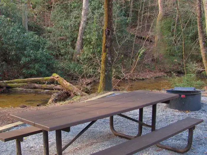 Camping near Wildcat Lodge and Campground: Frank Gross Campground — Chattahoochee Oconee National Forest, Suches, Georgia