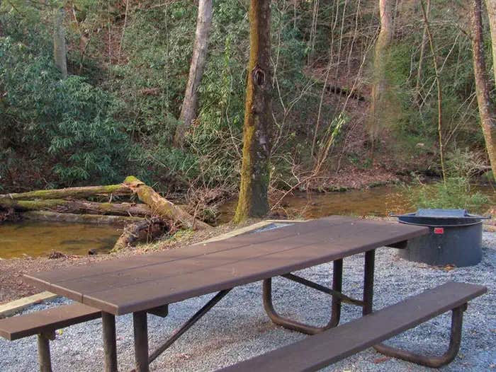 Camper submitted image from Frank Gross Campground — Chattahoochee Oconee National Forest - 1