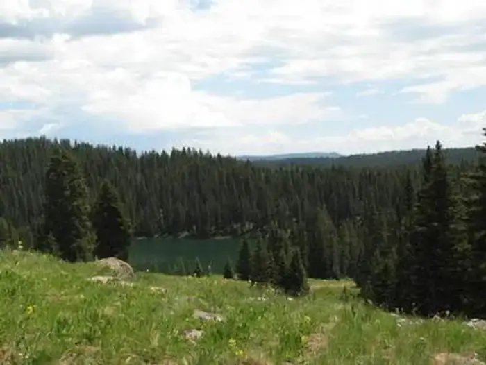 Camper-submitted photo at Island Lake Campground near Cedaredge, CO