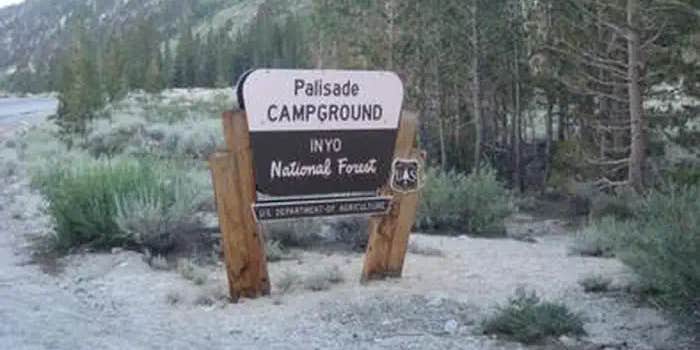 Camper submitted image from Palisade Group Campground