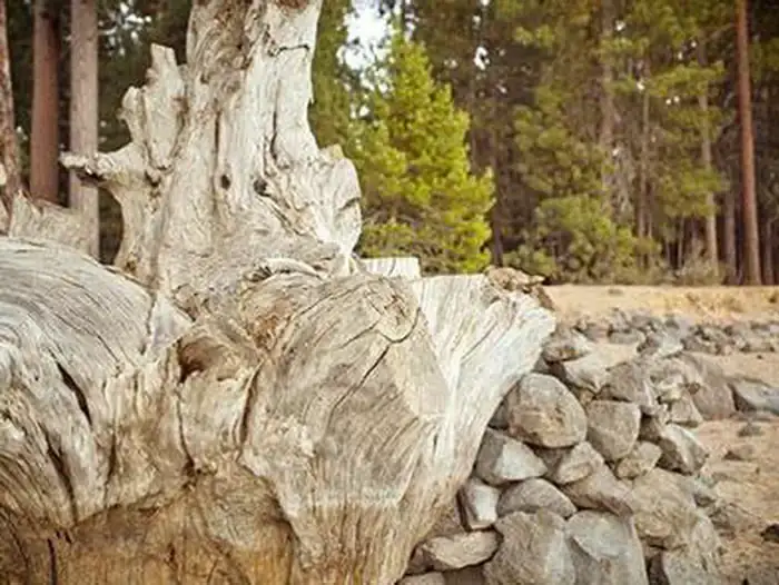 Camper-submitted photo at Gull Point Campground near Crescent, OR