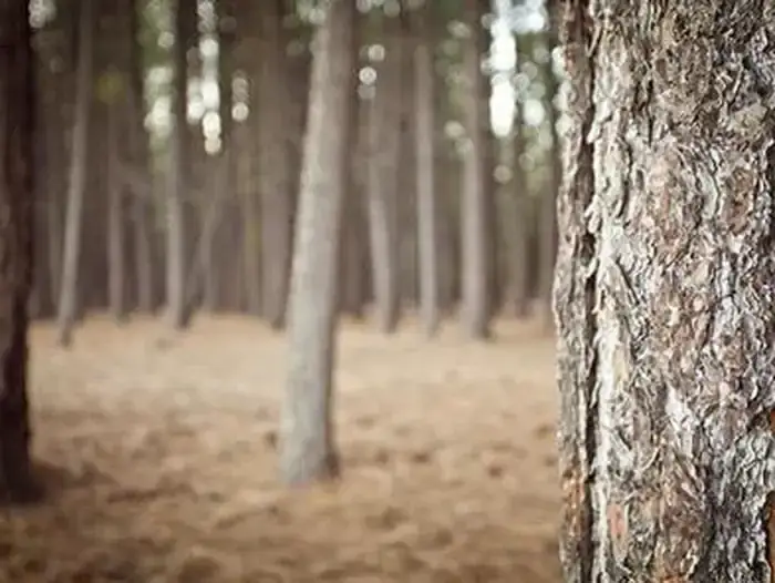 Camper-submitted photo at Gull Point Campground near Crescent, OR