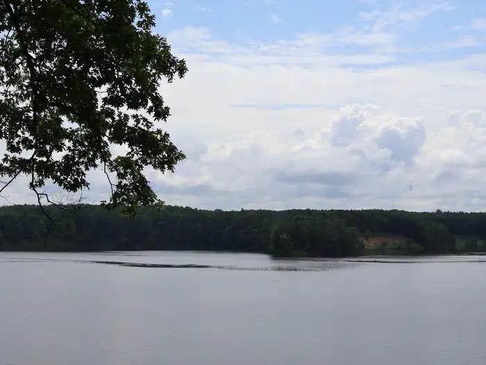 Camper submitted image from Upper Manistee River Backcountry Campsites — Huron Manistee National Forests - 1