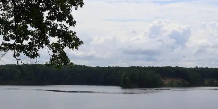 Camper submitted image from Upper Manistee River Backcountry Campsites — Huron Manistee National Forests