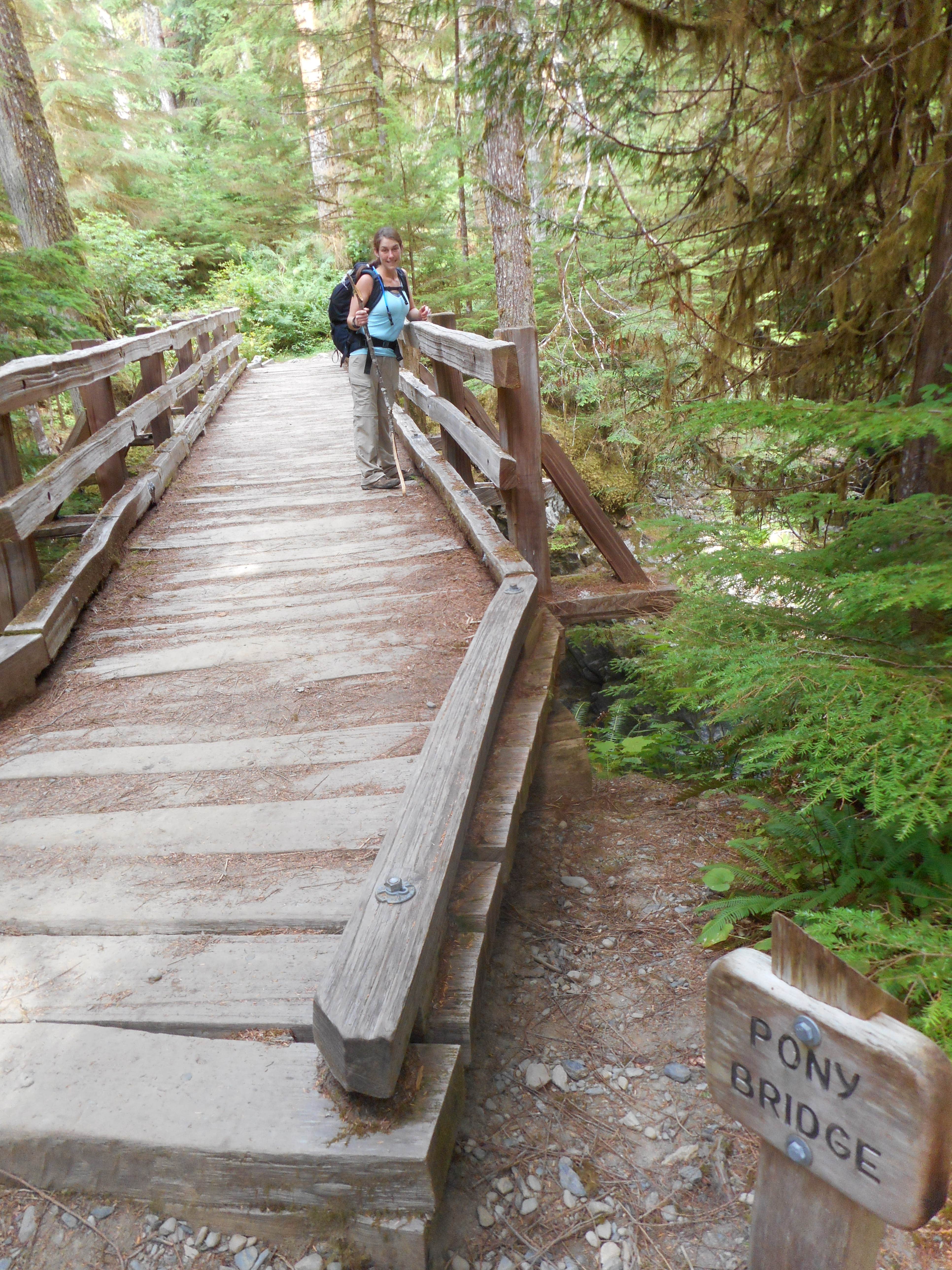 Pony bridge olympic national park cheap