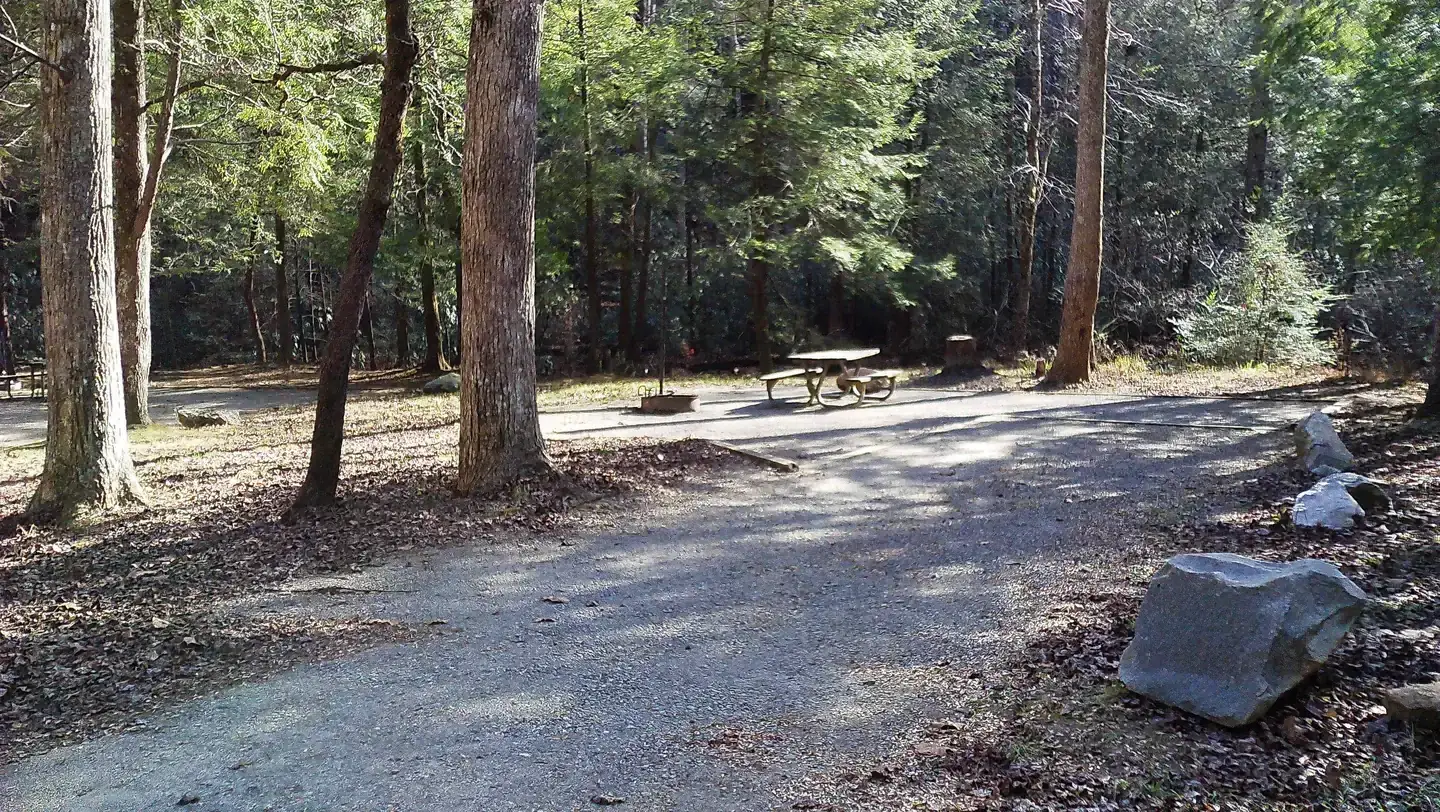Camping near Tate Branch Campground (Clayton, Ga) — Chattahoochee Oconee National Forest: Low Gap Campground — Chattahoochee Oconee National Forest, Rabun Gap, Georgia