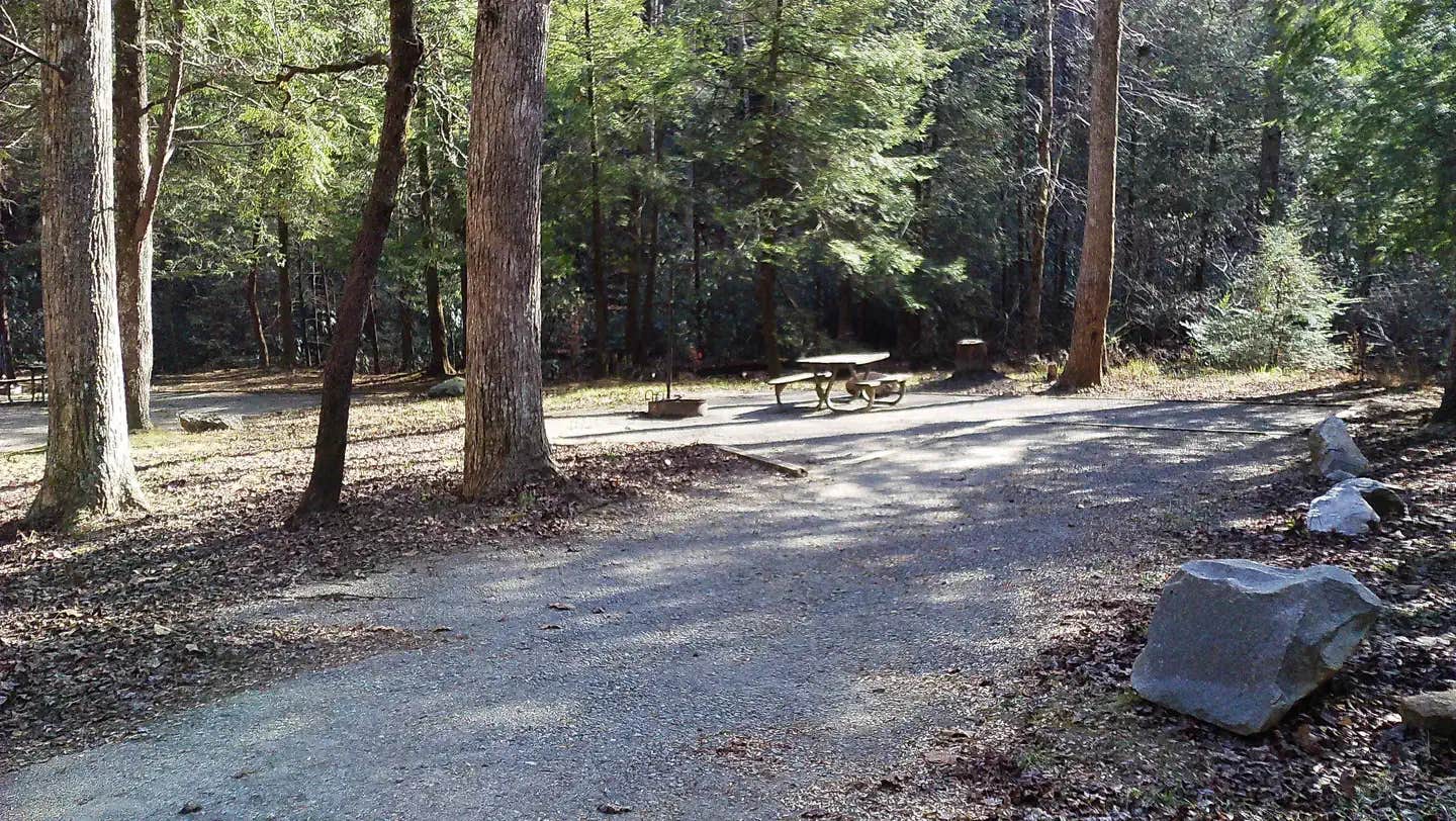 Camper submitted image from Low Gap Campground — Chattahoochee Oconee National Forest - 1