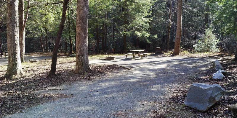 Camper submitted image from Low Gap Campground — Chattahoochee Oconee National Forest
