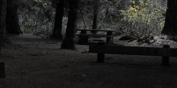 Camper submitted image from Limberlost Campground