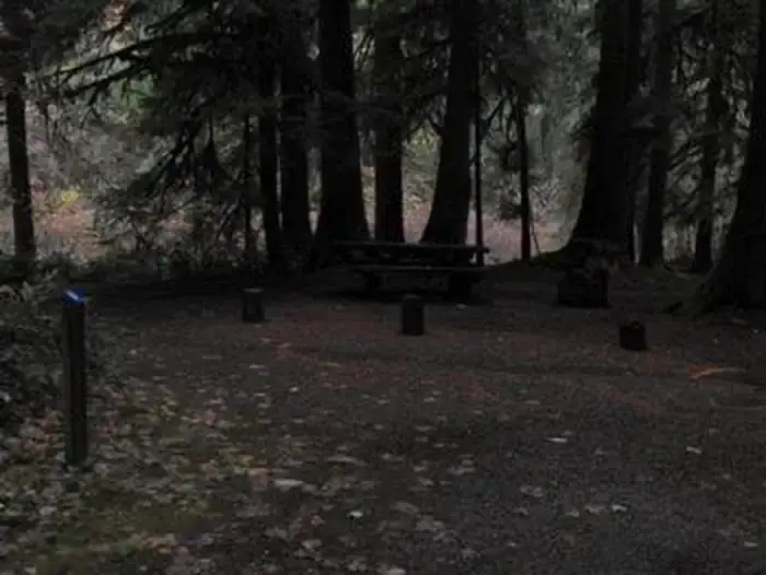 Camper-submitted photo at Limberlost Campground near Willamette National Forest