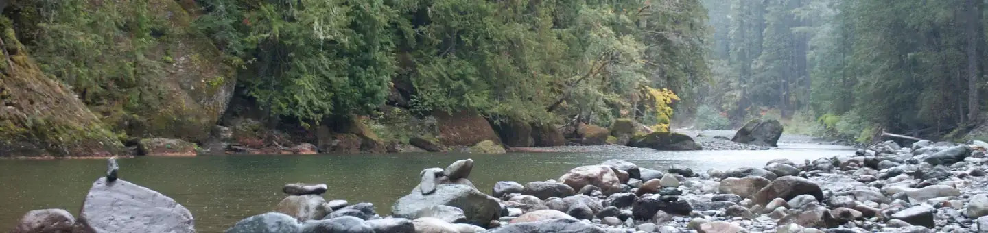 Camper-submitted photo at La Wis Wis Campground near Ashford, WA