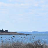 Review photo of Bayside Assateague Campground — Assateague Island National Seashore by Lois  ., August 23, 2019