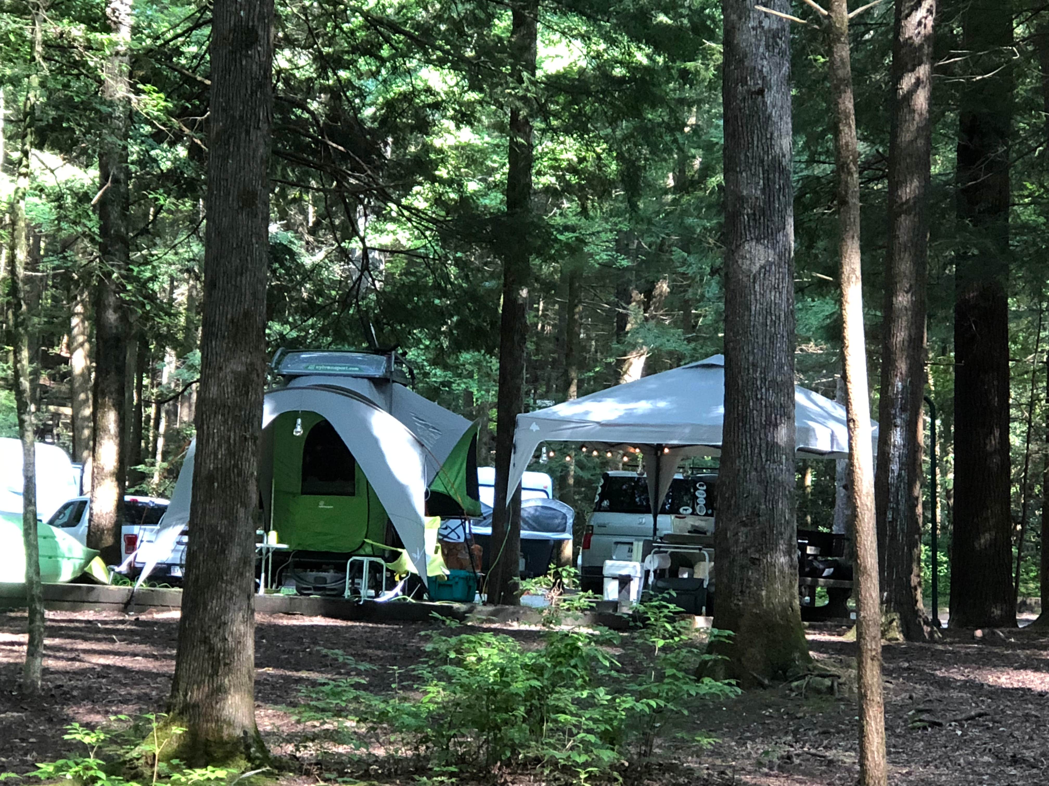 Jan P.'s photo at Vogel State Park Campground near Blairsville, GA