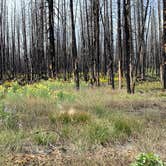 Review photo of Headwaters Campground at Flagg Ranch — John D. Rockefeller, Jr., Memorial Parkway by Susan R., August 23, 2019