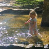 Review photo of Pocket Campground — Chattahoochee Oconee National Forest by Frank  T., August 23, 2019