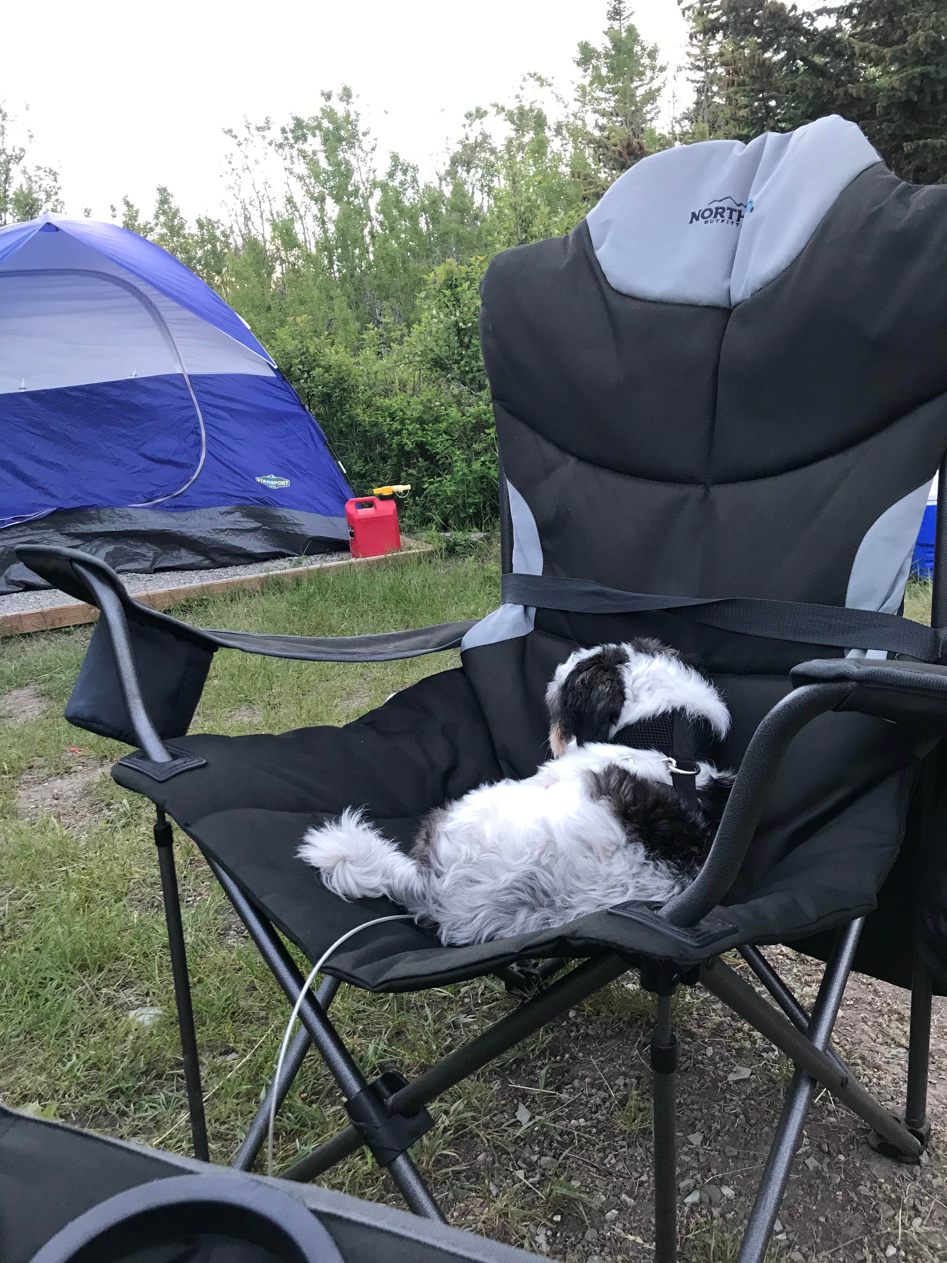 Steven K.'s photo of camping with pets at St Mary Campground - Glacier National Park — Glacier National Park in Montana