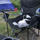 Review photo of St Mary Campground - Glacier National Park — Glacier National Park by Steven K., August 23, 2019