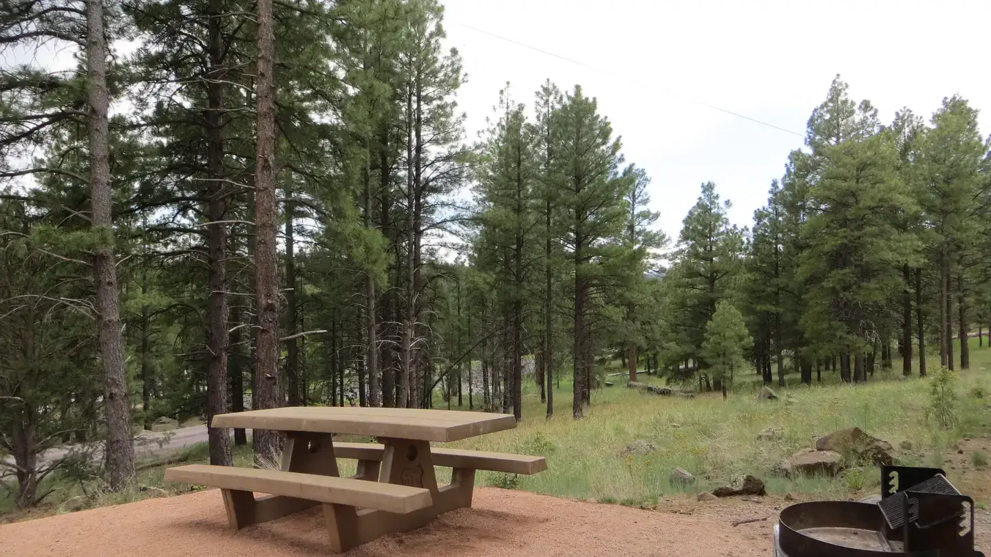 Camping near Pinegrove Campground: Lakeview Campground (Az) — Coconino National Forest Recreation, Flagstaff, Arizona