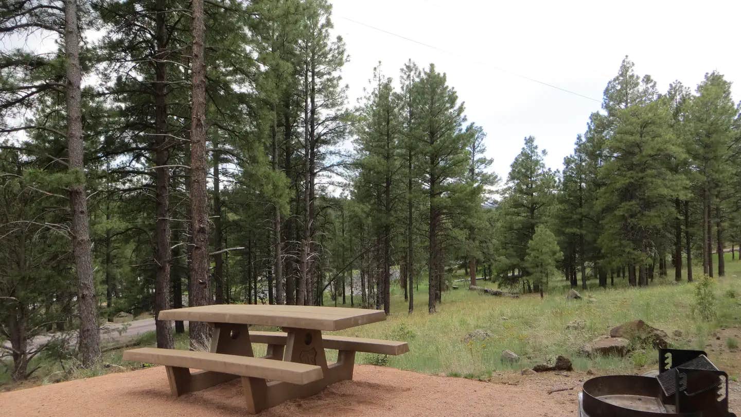 Camper submitted image from Lakeview Campground (Az) — Coconino National Forest Recreation - 1