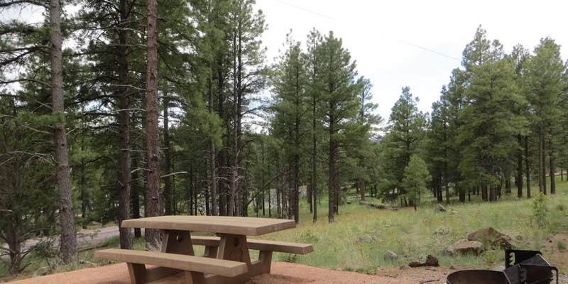 Camper submitted image from Lakeview Campground (Az) — Coconino National Forest Recreation