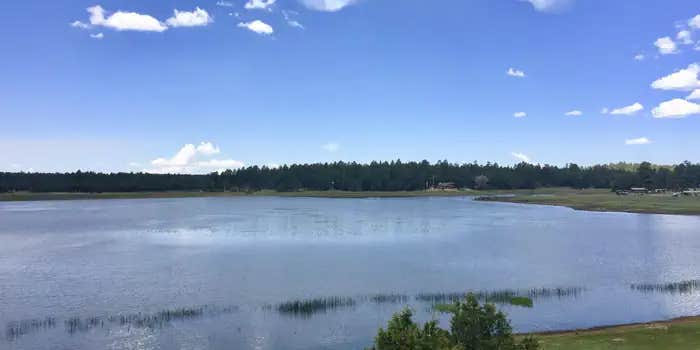 Camper submitted image from Lakeview Campground (Az) — Coconino National Forest Recreation