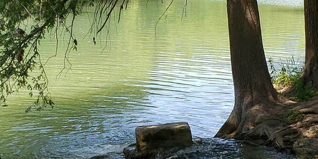 Camper submitted image from HTR TX Hill Country