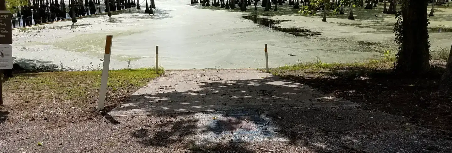 Camper-submitted photo at Magnolia Ridge near Steinhagen Lake