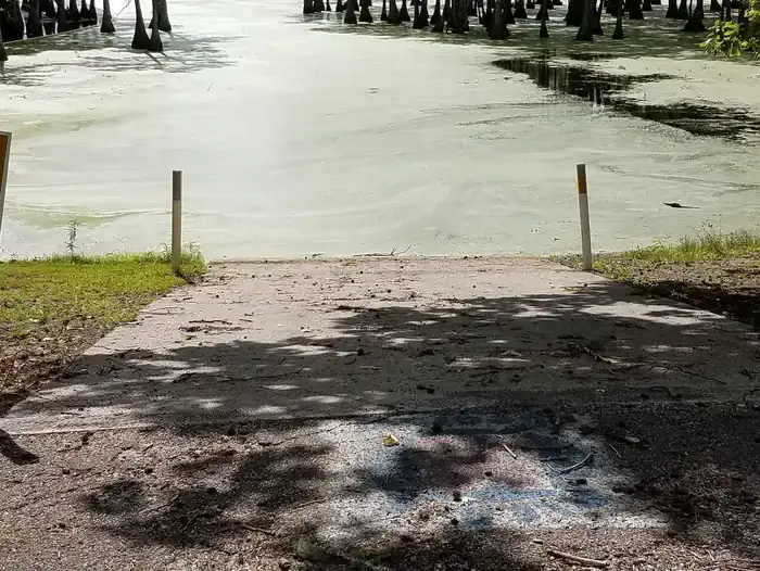 Camper-submitted photo at Magnolia Ridge near Steinhagen Lake